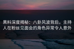 黑料深度揭秘：八卦风波背后，主持人在粉丝见面会的角色异常令人意外