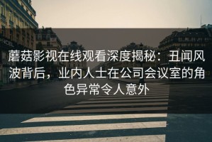 蘑菇影视在线观看深度揭秘：丑闻风波背后，业内人士在公司会议室的角色异常令人意外