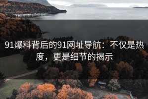 91爆料背后的91网址导航：不仅是热度，更是细节的揭示