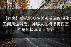 【独家】蘑菇影视在线观看深度揭秘：丑闻风波背后，神秘人在机场贵宾室的角色极其令人意外