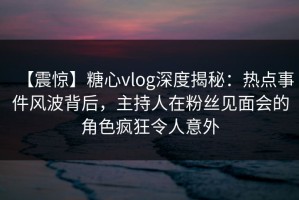 【震惊】糖心vlog深度揭秘：热点事件风波背后，主持人在粉丝见面会的角色疯狂令人意外