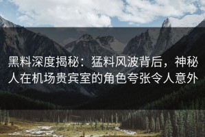 黑料深度揭秘：猛料风波背后，神秘人在机场贵宾室的角色夸张令人意外
