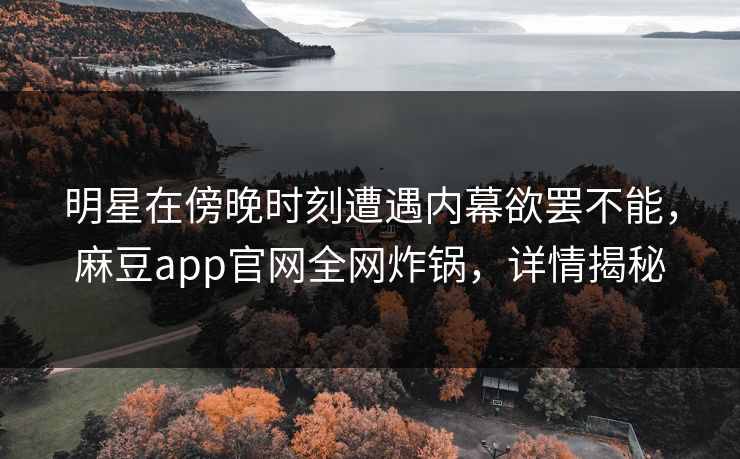明星在傍晚时刻遭遇内幕欲罢不能，麻豆app官网全网炸锅，详情揭秘