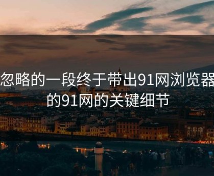 被忽略的一段终于带出91网浏览器里的91网的关键细节