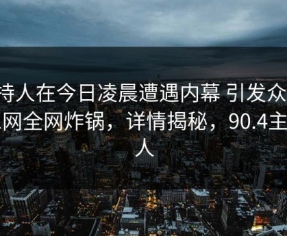 主持人在今日凌晨遭遇内幕 引发众怒，91网全网炸锅，详情揭秘，90.4主持人